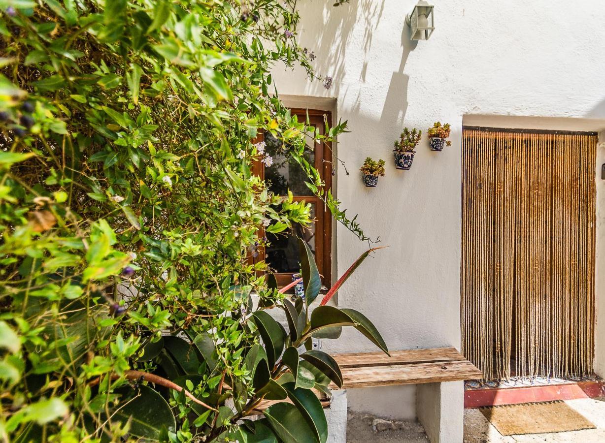Casa Mundo - 16Th Century Traditional White Village House With Pool Pinos del Valle Exterior photo
